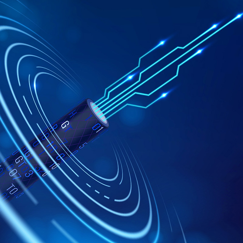 Lianou Electric predstavuje inovatívne produkty na medzinárodnom veľtrhu Electrical Expo, ktoré je lídrom v zelenom trende